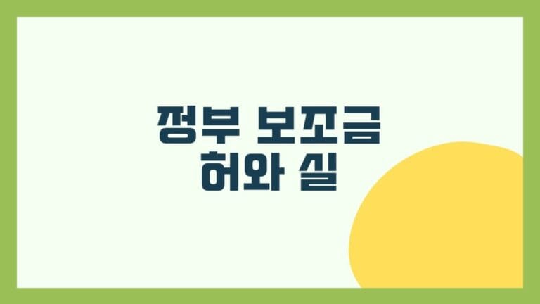 정부 보조금의 허와 실