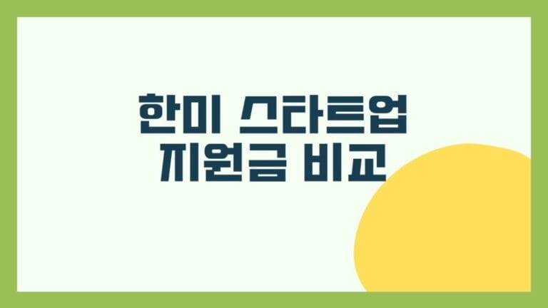 한미 스타트업 지원금 비교